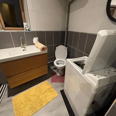 Tres Confortable En Centre Apartment
