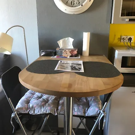 Tres Confortable En Centre Apartment
