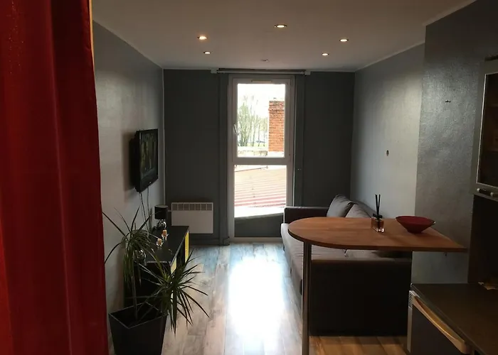 Tres Confortable En Centre Apartament *